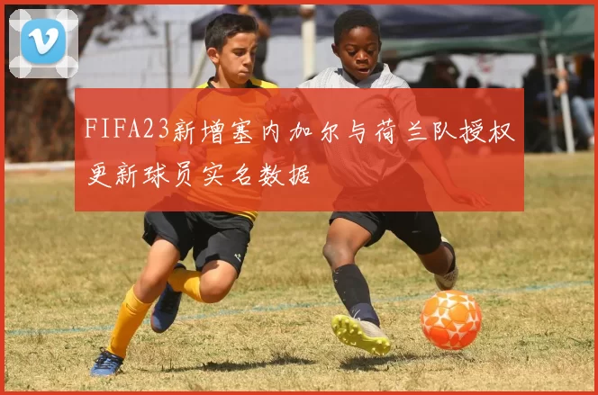 FIFA23新增塞内加尔与荷兰队授权更新球员实名数据
