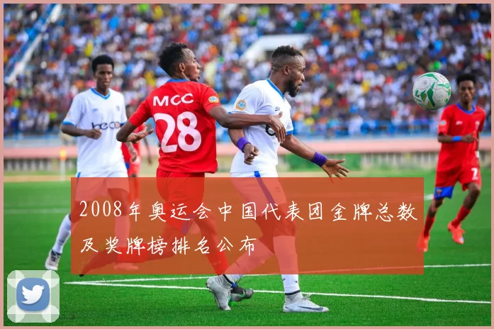 2008年奥运会中国代表团金牌总数及奖牌榜排名公布