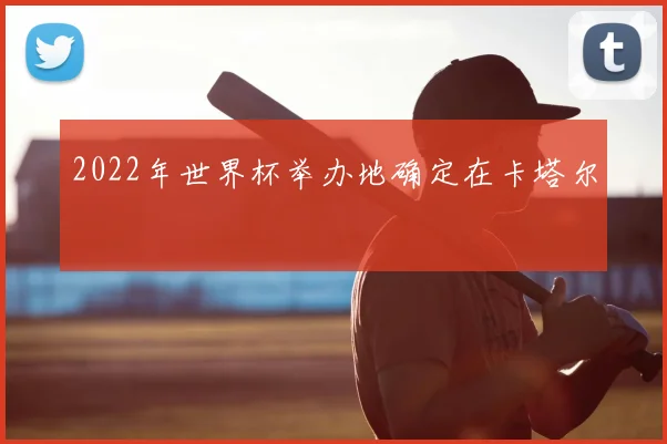 2022年世界杯举办地确定在卡塔尔