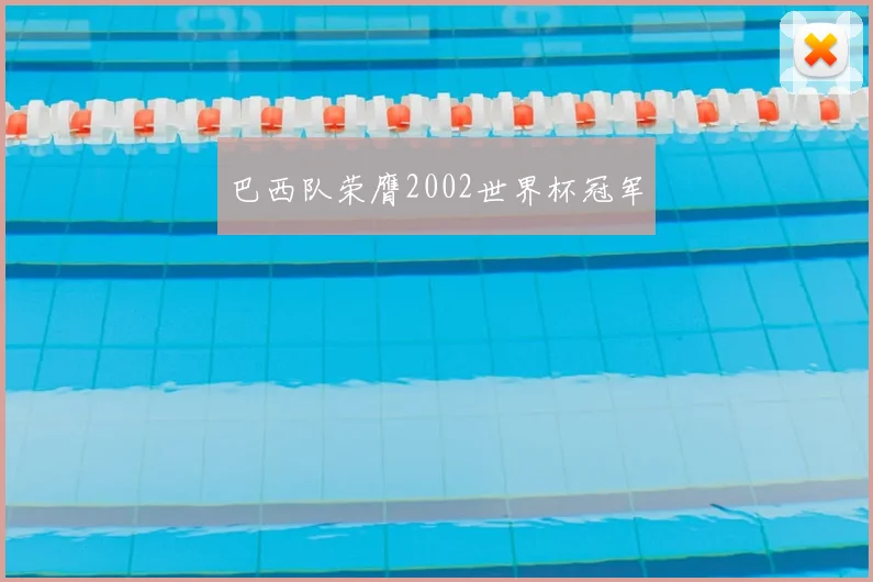 巴西队荣膺2002世界杯冠军