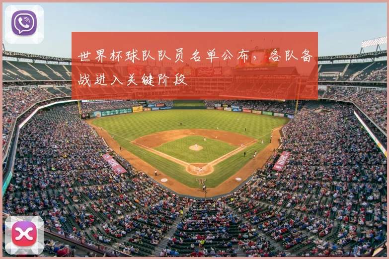 世界杯球队队员名单公布,各队备战进入关键阶段